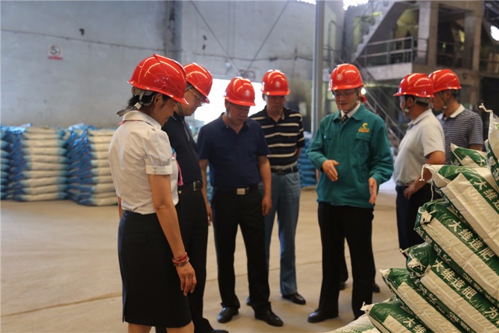 耿克明、、高建嵩到大维肥业等企业调研