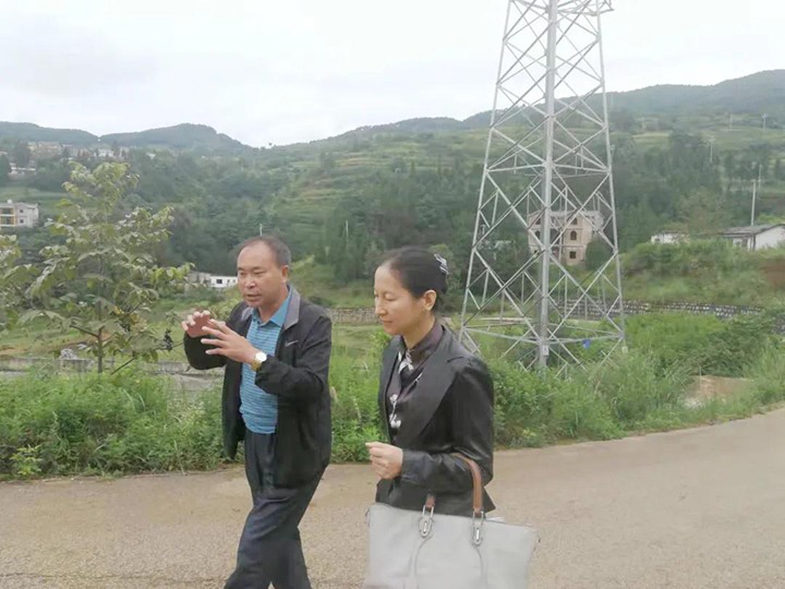 集团党委委员、财务总监莫晓丹一行到羊场口煤业温顺源煤矿开展煤矿项目建设事情专项调研