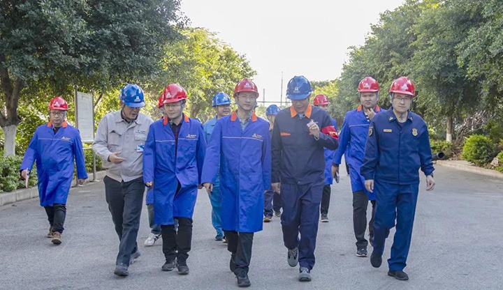 开远市委副书记、、、市长解凌云一行到解化化工分公司开展化工清静专项检查