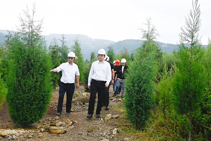 自然资源部矿产资源；ぜ嗍铀臼褂眉嗍哟Ω贝Τに镉莱恍械较确婷阂档餮新躺笊浇ㄉ枋虑