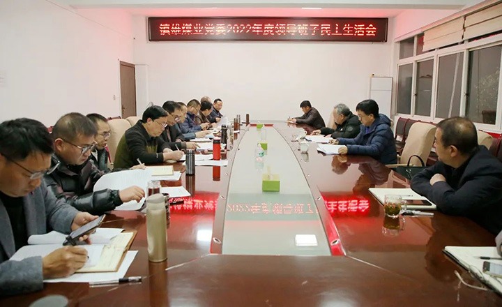 集团党委委员、副总司理施从伟到镇雄煤业公司指导年度民主生涯会