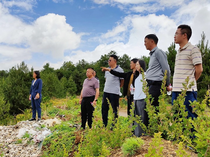 【主题教育】云煤（6008集团官方网站）集团专职外部董事寸延峰，，，集团党委委员、财务总监莫晓丹到马厂煤矿、汉家厂煤矿、竹麻地煤矿开展主题教育调研