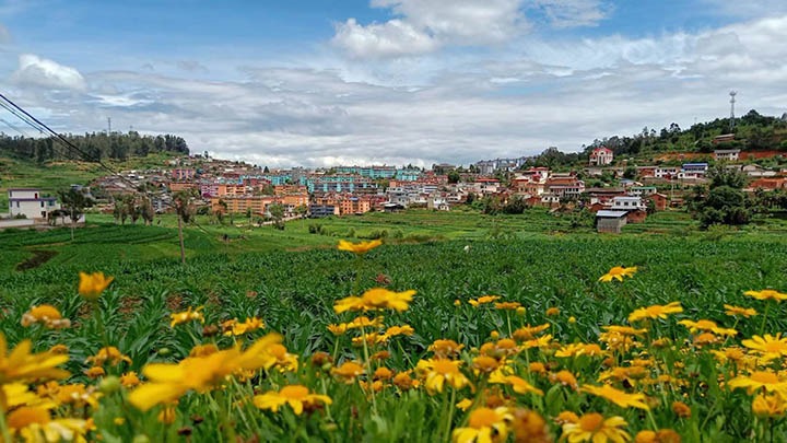 【云煤岁月】笃行不辍营生长，砥砺奋进谱新篇——平煤故事（一）