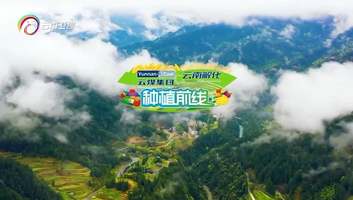 【聚焦云煤】云南卫视专题播报：：护航春耕 解化领先