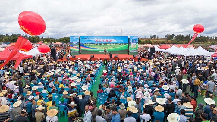 云南解化｜“快递小哥”的三农情怀，，温暖民心促生长
