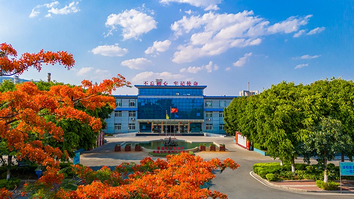 红色基由于引领，，磨练战场写华章  —— 汗水与智慧交织的磨练历程