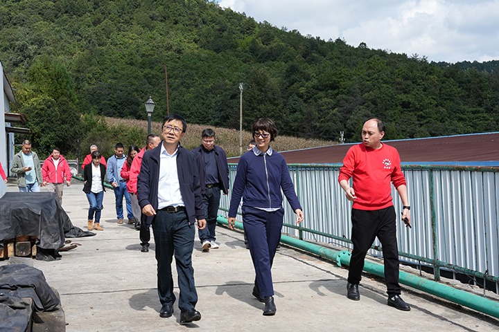 云南省国资委党委委员、、副主任夏丽坤一行到云煤集团所属恩洪煤业公司开展现场督导调研